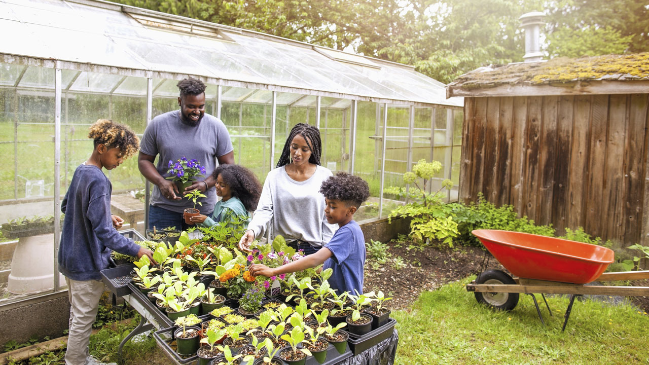 Family gardening